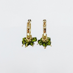 Baby Cake Earrings Gold - Olive