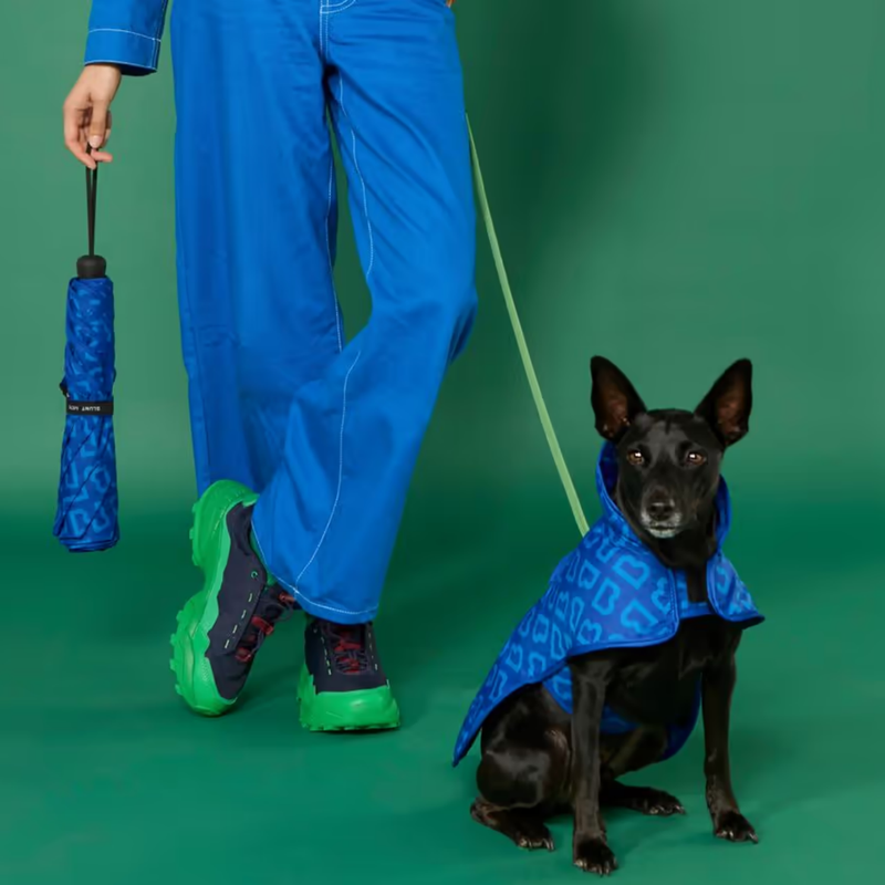 Metro Umbrella  Blue Monogram - Limited Edition
