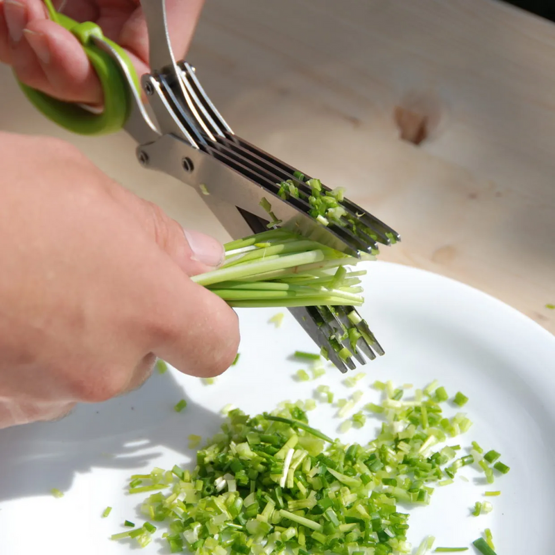 Herb Scissors