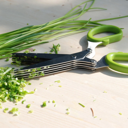 Herb Scissors