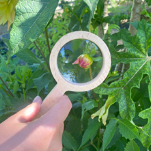 Kids Explorer Wooden Magnifying Glass