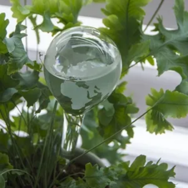 Plant Waterer Globe