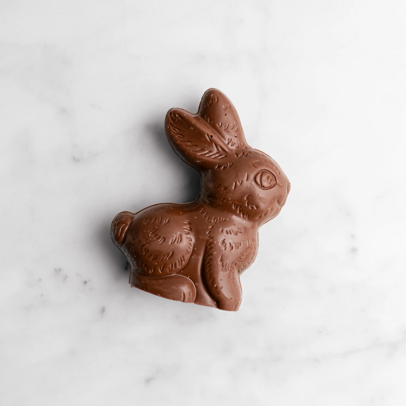 Milk Chocolate Solid Bunny