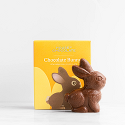 Milk Chocolate Solid Bunny