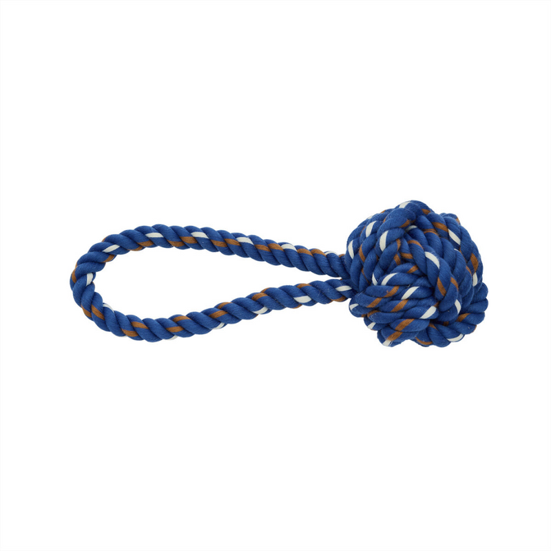 Otto Rope Dog Toy - Optic Blue