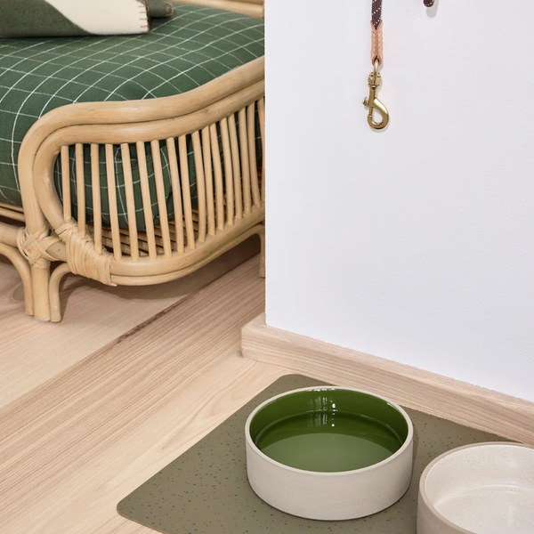 Sia Dog Bowl Medium - Green