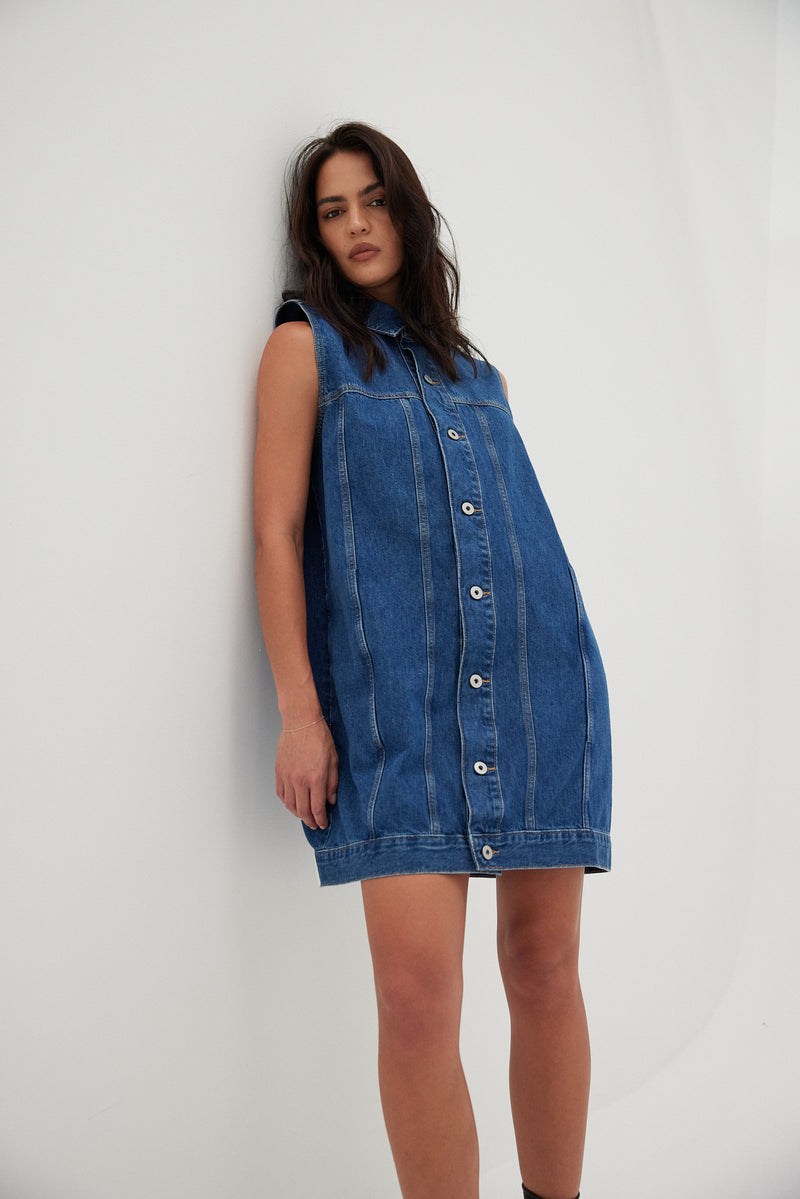 Goldie Dress - Latitude