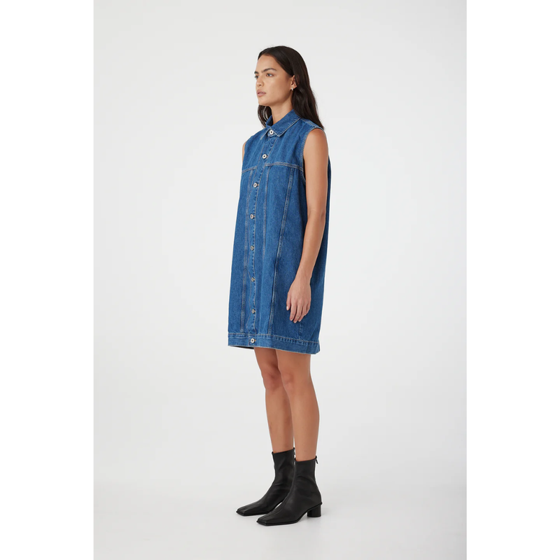 Goldie Dress - Latitude