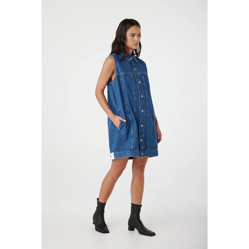 Goldie Dress - Latitude