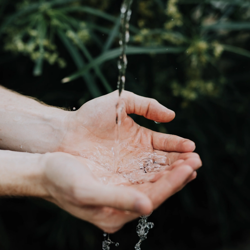 RESTORE Handwash Refill - Harakeke + Blood Orange