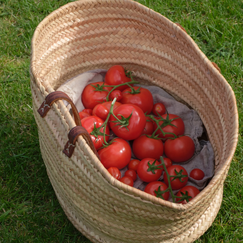 Hand Wash - Tomato Leaves