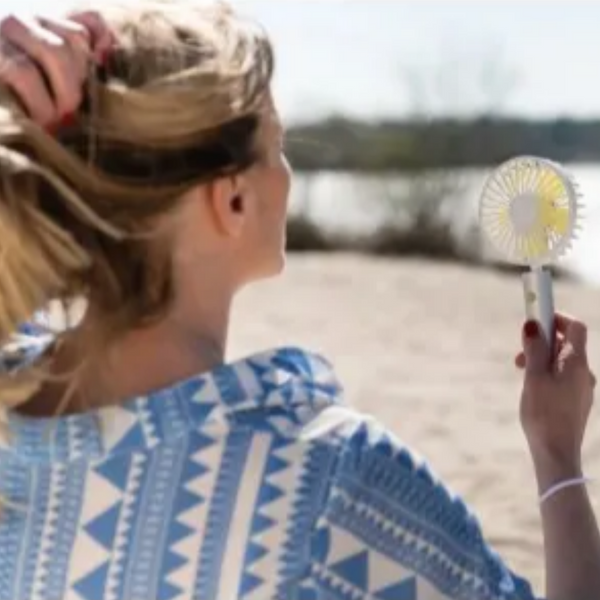 FLOW Handy Mini Fan - Silver