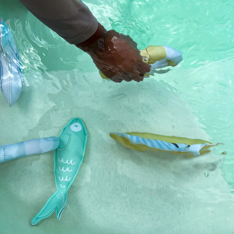 Dive Buddies Sammy The Seagull - Set of 6