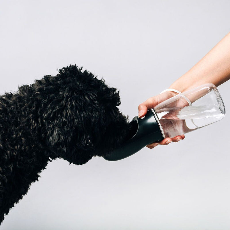 Thirsty Dog Water Bottle - 3 colours