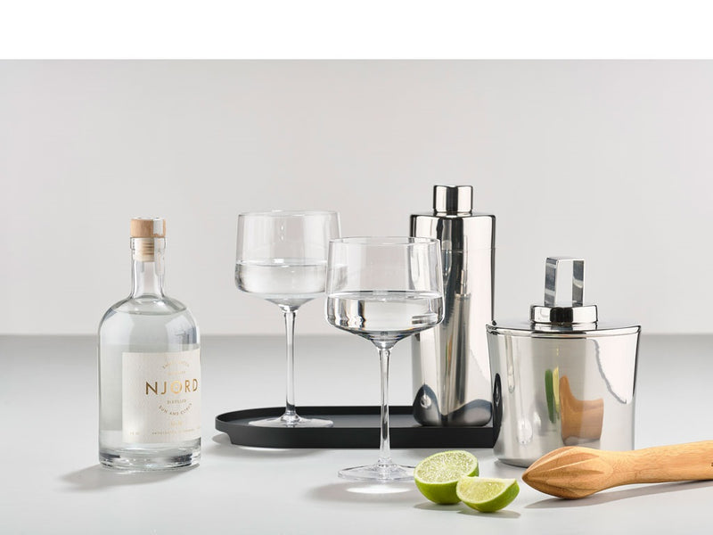 ROCKS Glass Set - Gin & Tonic