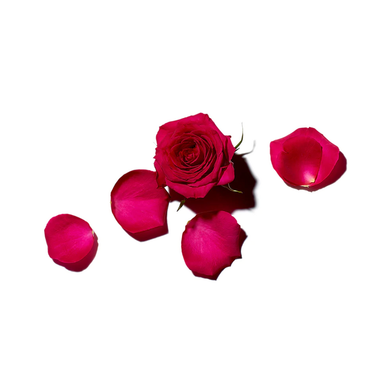 Rose Amélie - Revitalizing Hand Cream