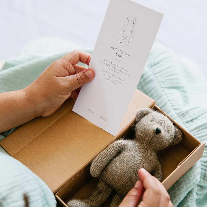 Ted Tiny Edition - Cedar