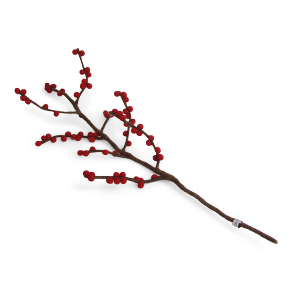 Branch with red berries