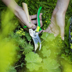 Gardening Shears - Green